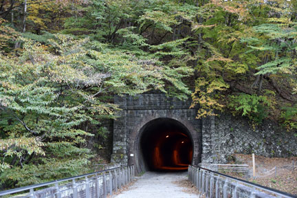 D8C_5603.jpg