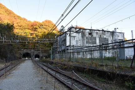 D8C_5633.jpg