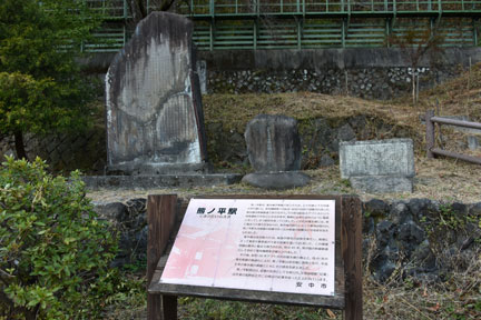D8C_5635.jpg