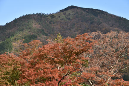 D8C_5699.jpg