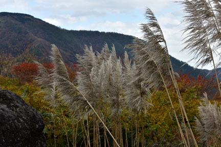 D8C_5735.jpg