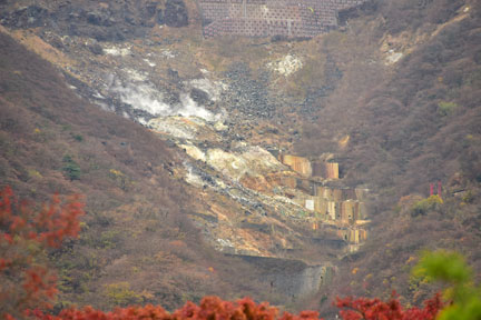 D8C_5758.jpg