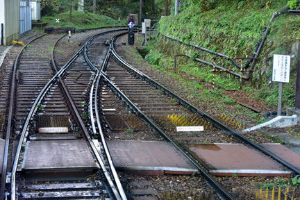 D8C_5808.jpg