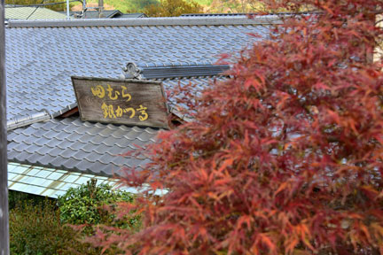 D8C_5771.jpg