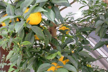 IMG_7896.jpg