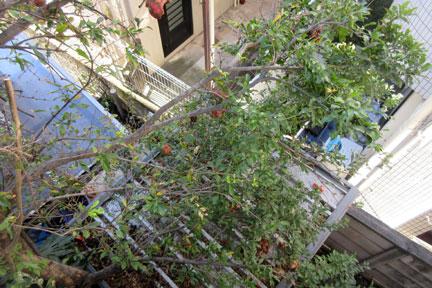 IMG_7924.jpg
