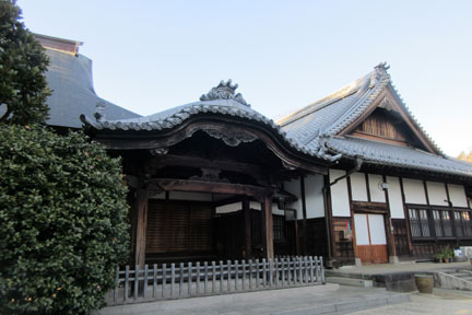 IMG_8807.jpg