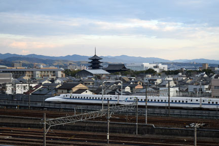 DSC_9290.jpg