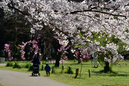 D8C_6169.jpg