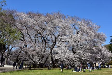 D8C_6172.jpg