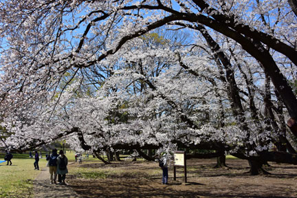 D8C_6185.jpg