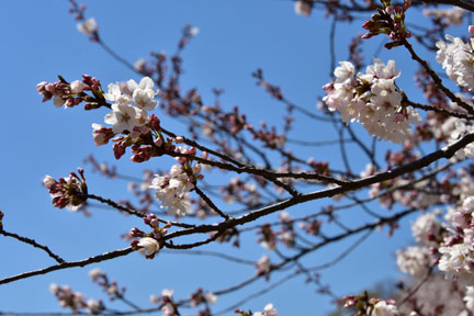 D8C_6203.jpg