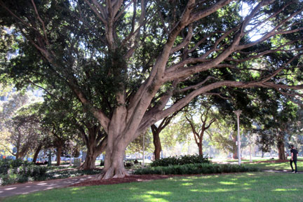 IMG_0934.jpg