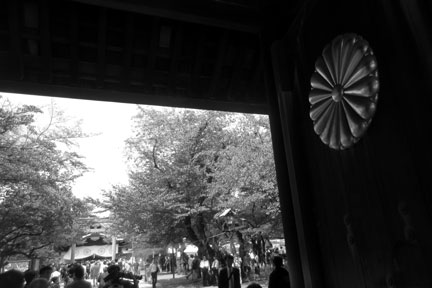 IMG_2220.jpg