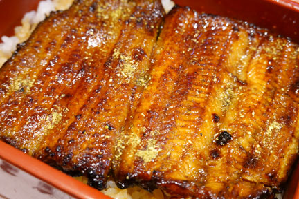 DSC06279.jpg
