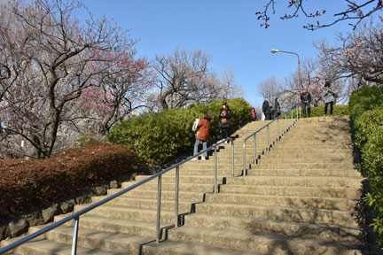 D8C_6809.jpg