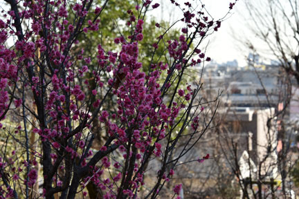 D8C_6795.jpg