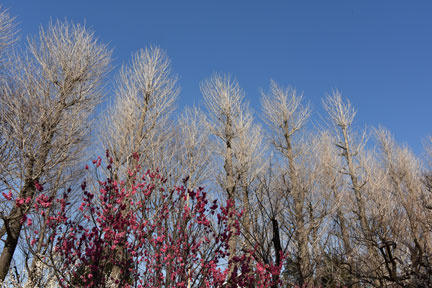 D8C_6783.jpg