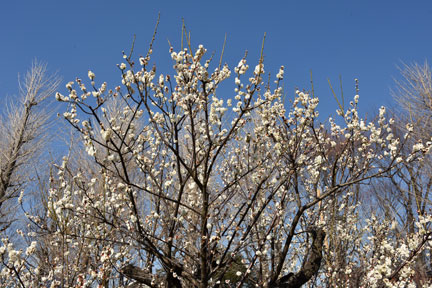 D8C_6773.jpg