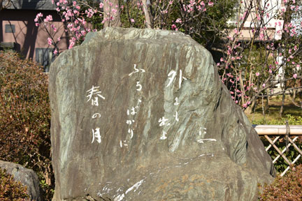 D8C_6769.jpg