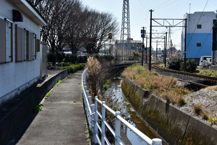 D8C_6898.jpg