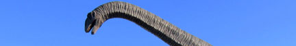 p_area_18.jpg