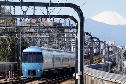 DSC07784.jpg