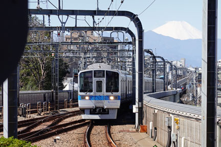 DSC07781.jpg