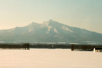2003-02-1-14.jpg