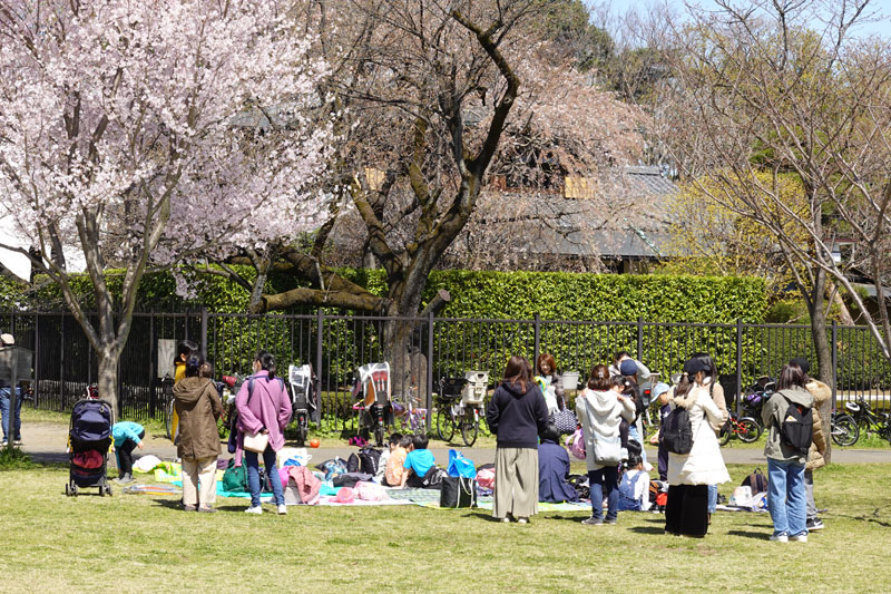 DSC07922.jpg