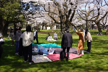 DSC07920.jpg