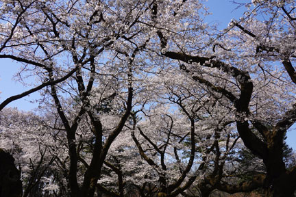 DSC07919.jpg