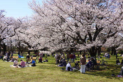 DSC07903.jpg