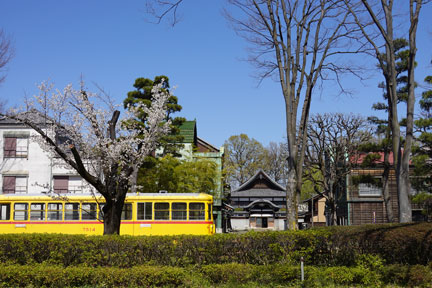 DSC07895.jpg