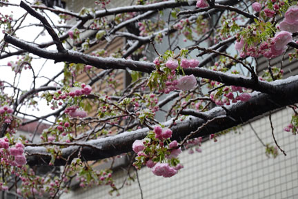 DSC08108.jpg
