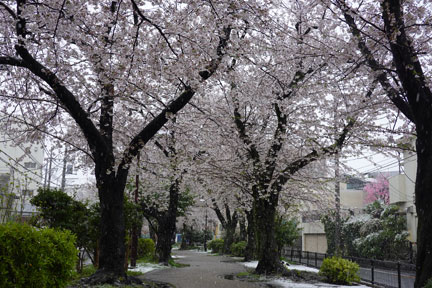 DSC08101.jpg