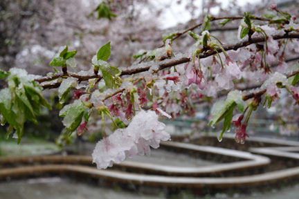 DSC08090.jpg