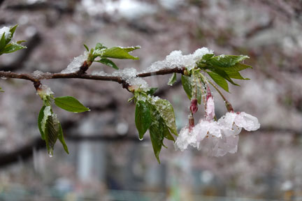 DSC08089.jpg