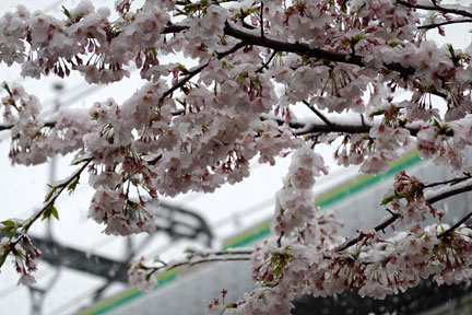 DSC08084.jpg