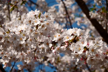 DSC08173R.JPG