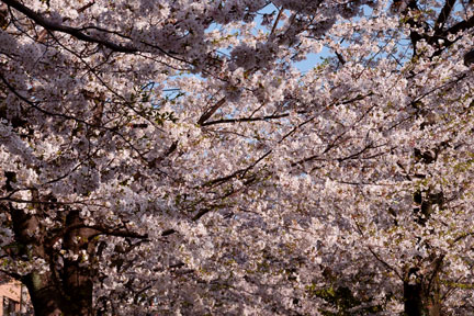 DSC08171R.jpg