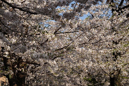 DSC08171.jpg