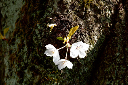 DSC08170R.JPG