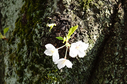 DSC08170.jpg