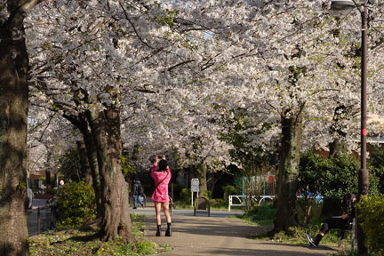 DSC08164.jpg