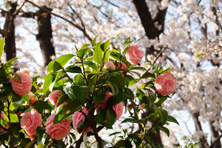 DSC08169.jpg