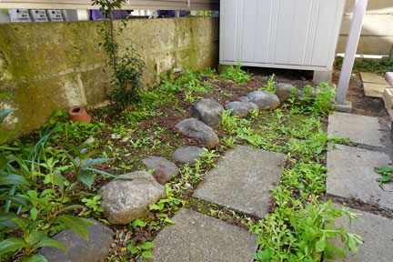 DSC08236.jpg