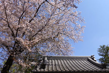 DSC08231.jpg