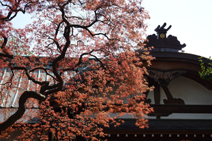 DSC08227.jpg