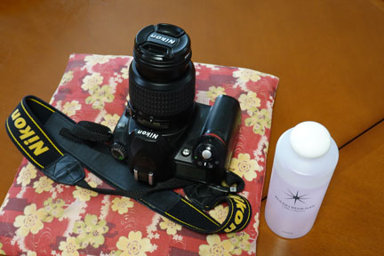 DSC09443.jpg